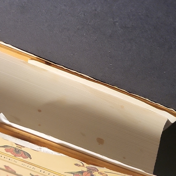 HEAVEN'S BANQUET VEGETARIAN COOKING LIFELONG HEALTH THE AYURVEDA WAY - Picture 4 of 9